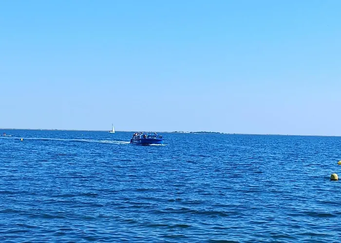 Marseillan Loue Pomérols